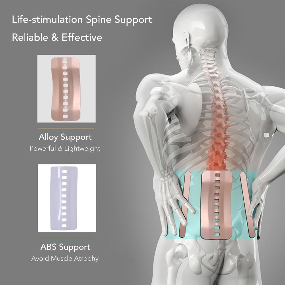 back support belt