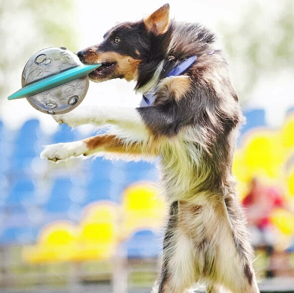 Dog Flying Saucer, Discs Toy & Food Feeder Ball