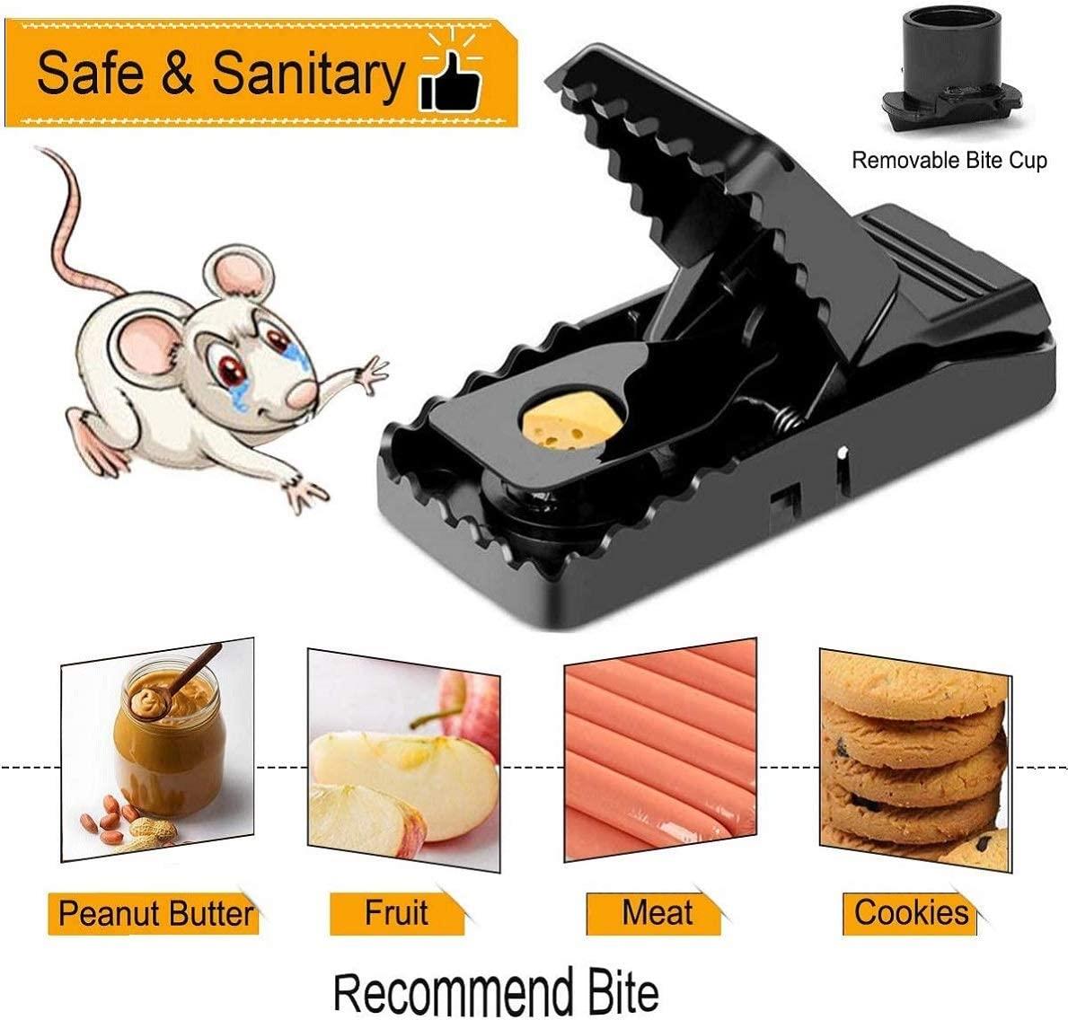 Reusable Plastic Mouse Trap