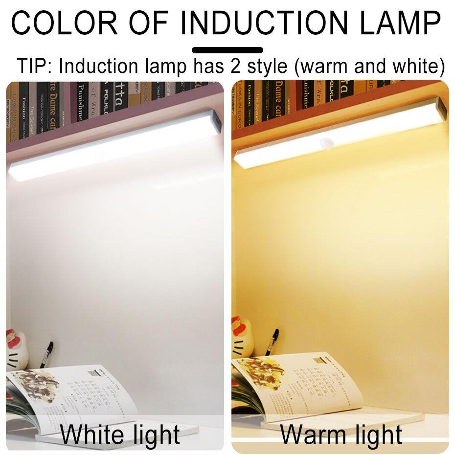 LED Closet Light