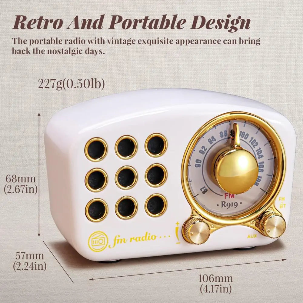 USB Mini Rechargeable Radio Speaker