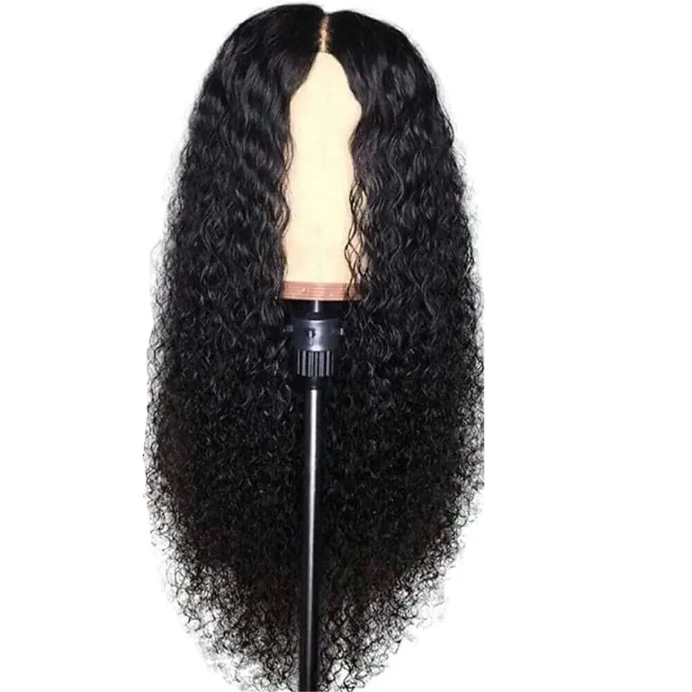 Women's Long Curly Brazilian Human Hair Lace Wig (US 2023)