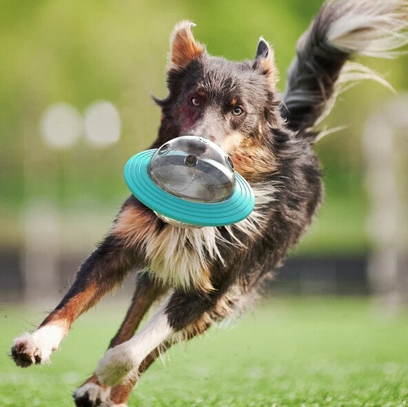 Dog Flying Saucer, Discs Toy & Food Feeder Ball