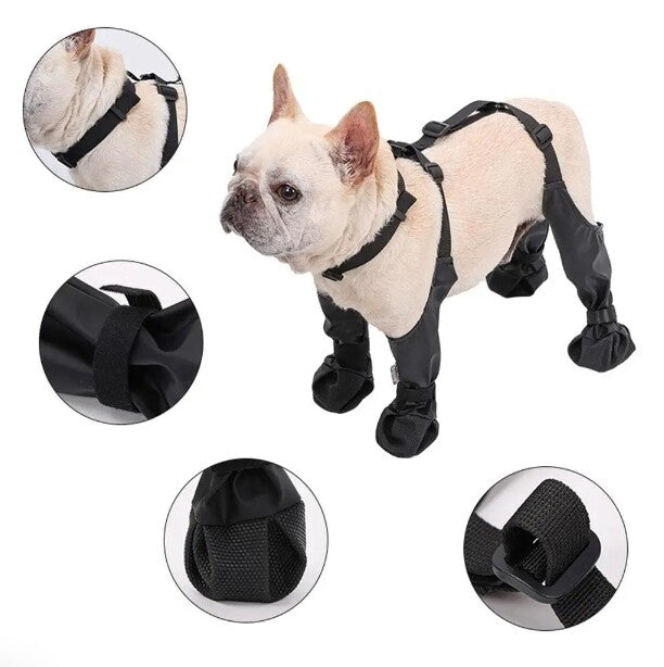 Dog Adjustable Waterproof Shoes