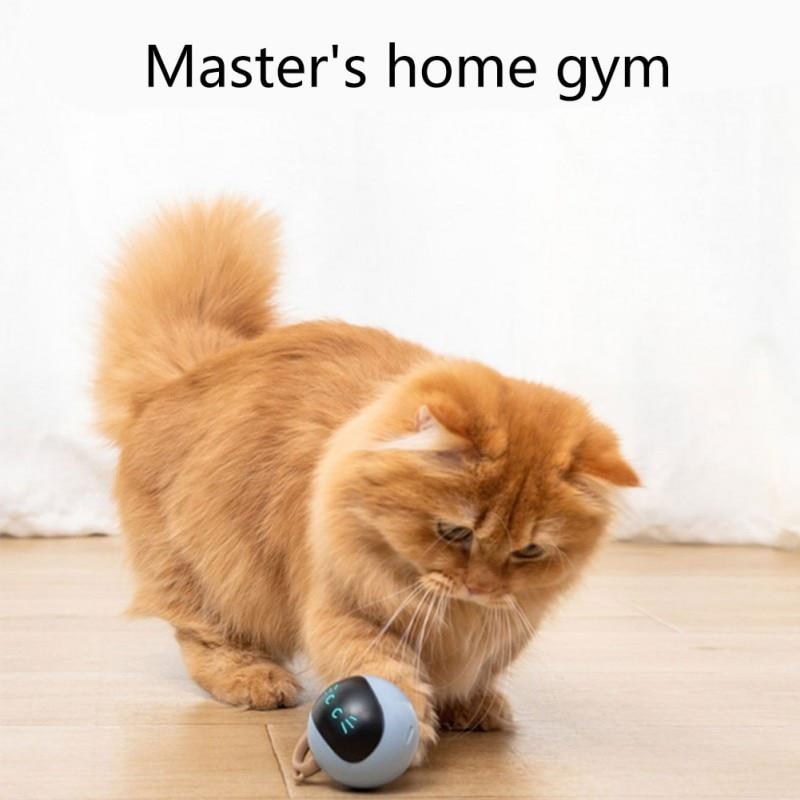 Interactive Self-Rolling Ball Cat Toy