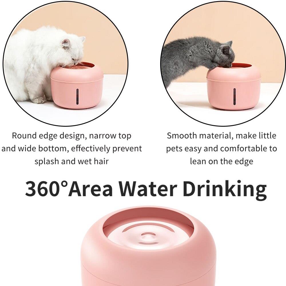 elevated dog bowls